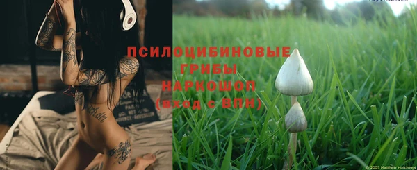 ешки Алексеевка