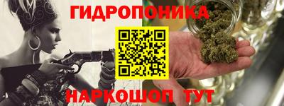 прущие крисы Новокубанск