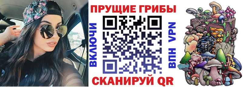 Псилоцибиновые грибы GOLDEN TEACHER  купить  цена  Биробиджан 