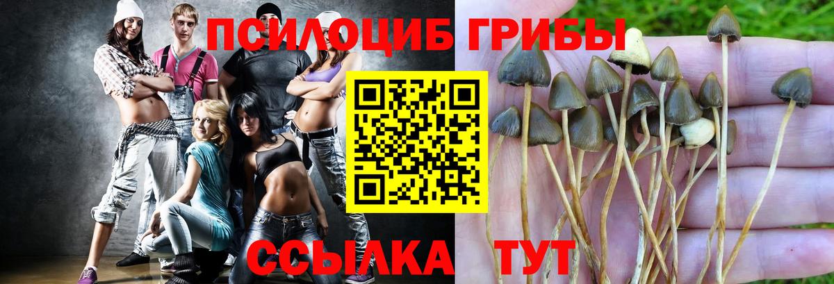 Галлюциногенные грибы мицелий Биробиджан