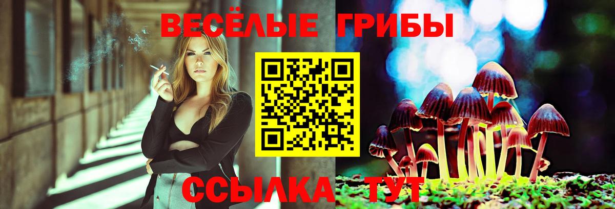 Биробиджан  Галлюциногенные грибы Magic Shrooms  наркошоп  Вход с VPN 